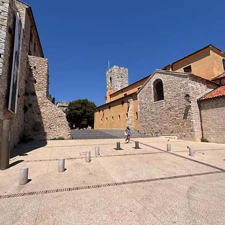 Le Pavillon Du Cap D'antibes ヴィラ