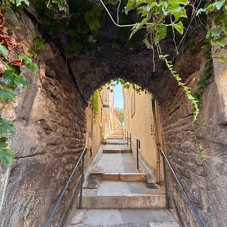 Le Pavillon Du Cap D'antibes ヴィラ *